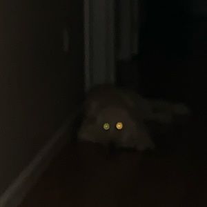 Meet your Posher, Matt